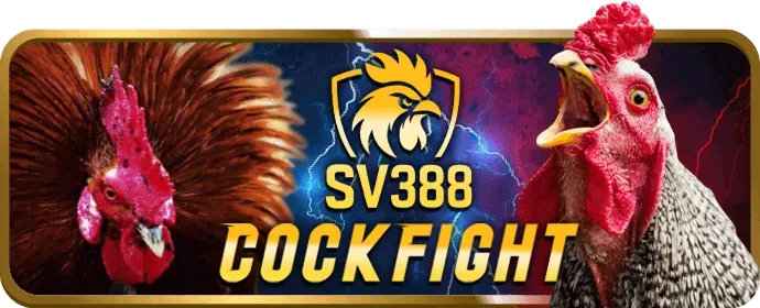 Hướng dẫn cho người mới bắt đầu tại 555win52
